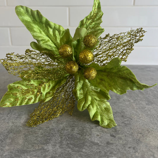 Green Poinsettia