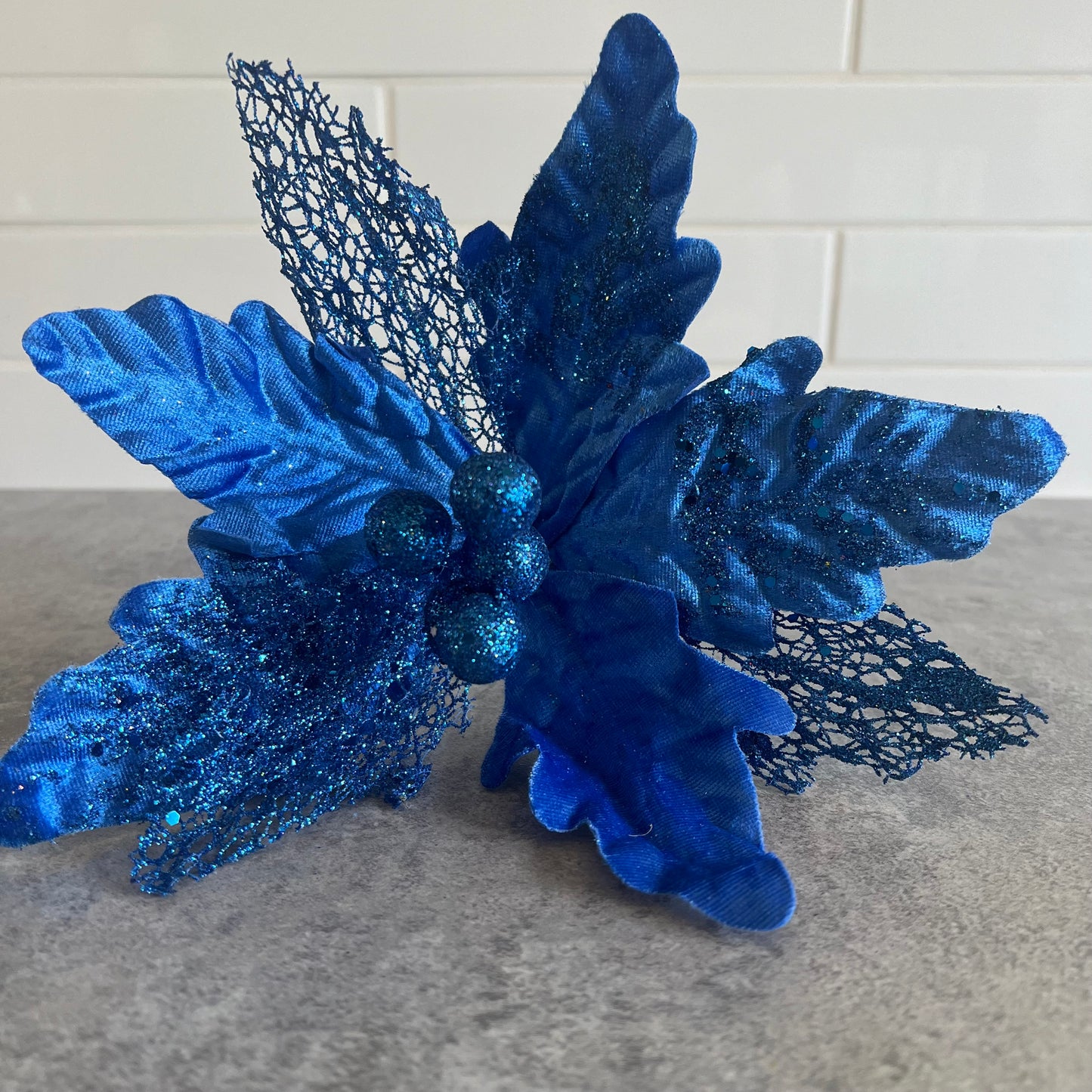 Blue Poinsettia
