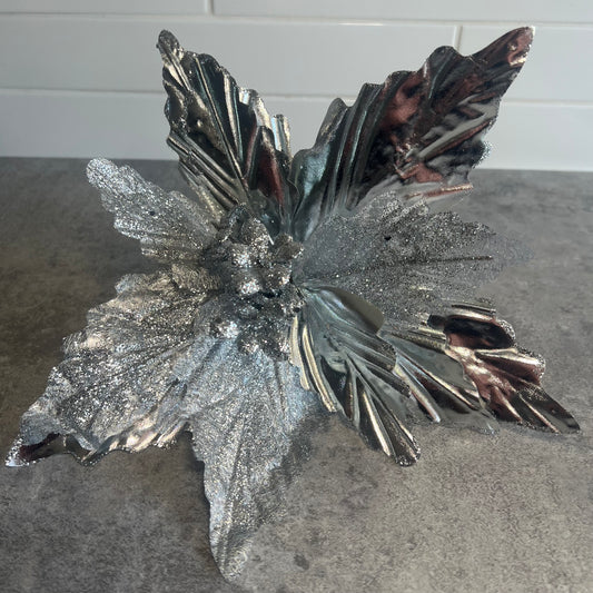 Silver Poinsettia