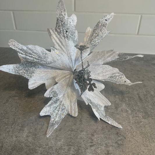 White & Silver Poinsettia