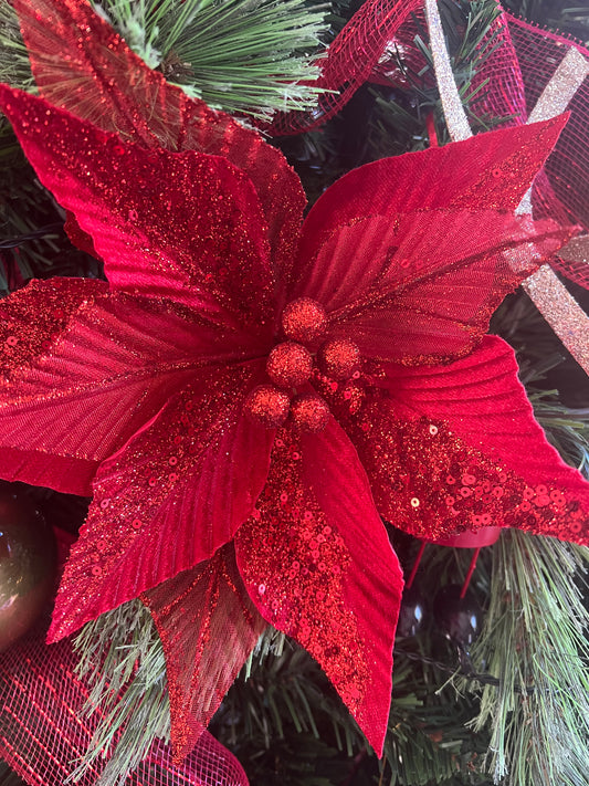 Red Poinsettia