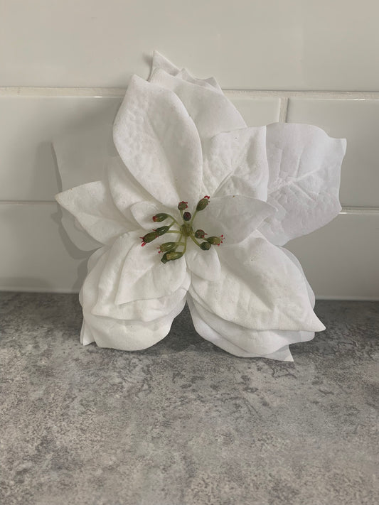Glittered White Poinsettia
