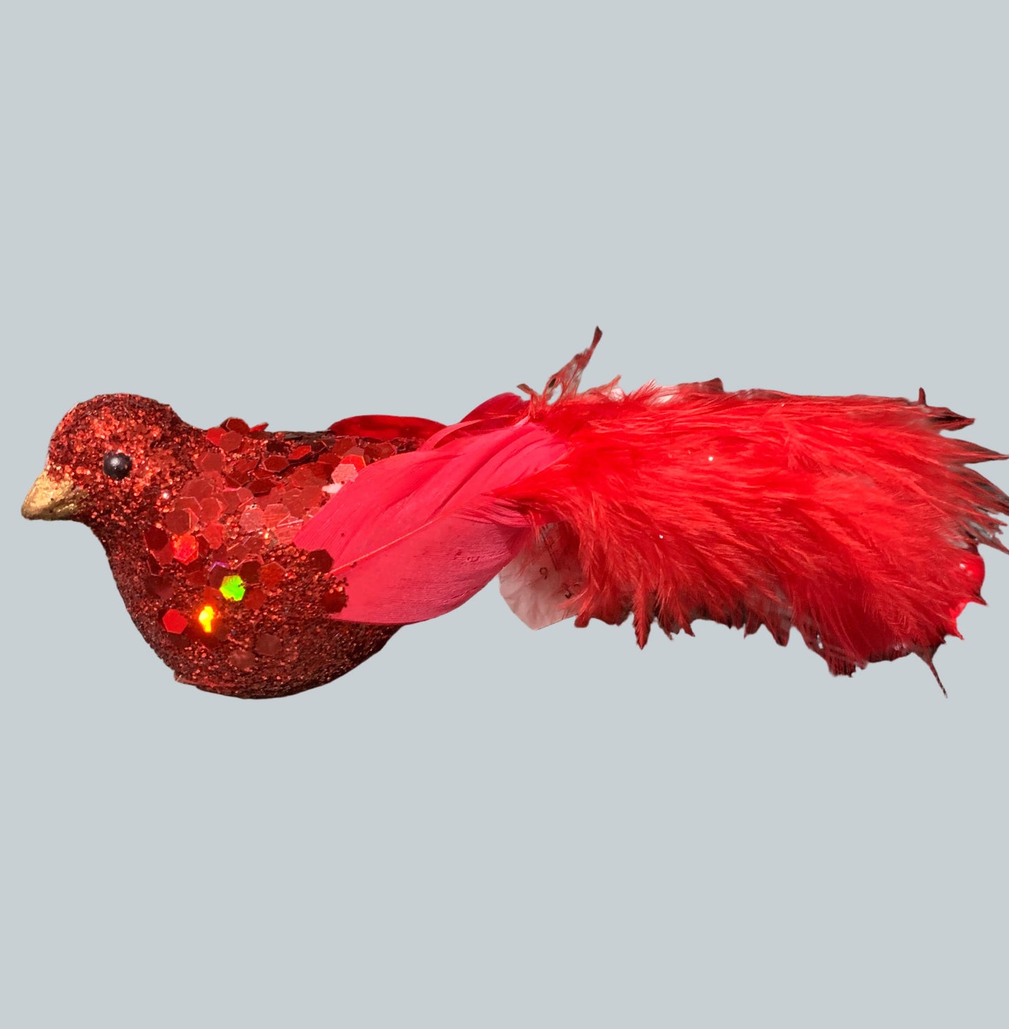 Red Bird