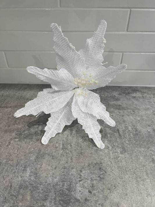 Linen White Poinsettia