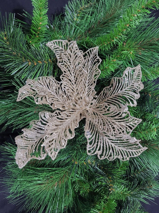 Champagne Poinsettia