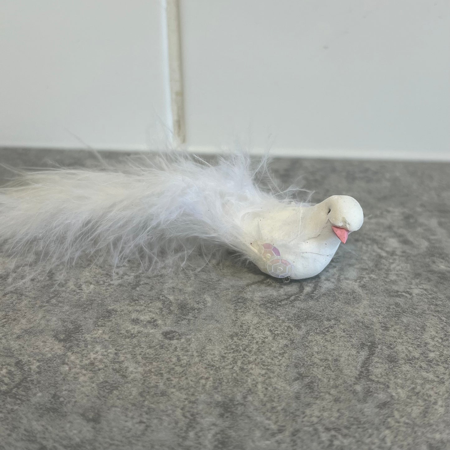 White Fluffy Bird