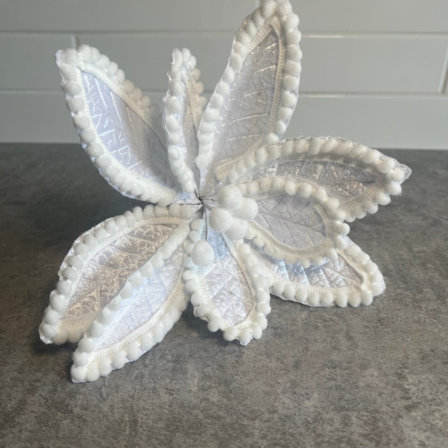 White Poinsettia