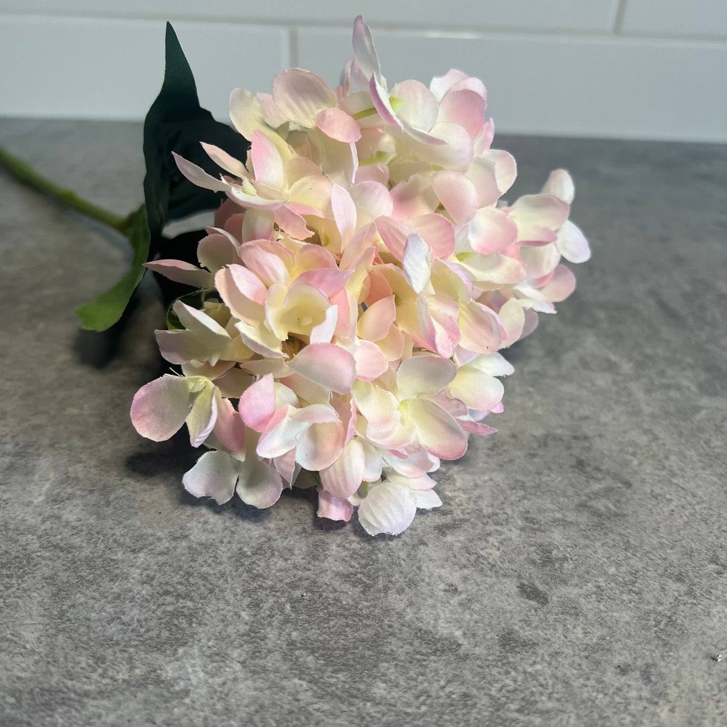Pink Hydrangea