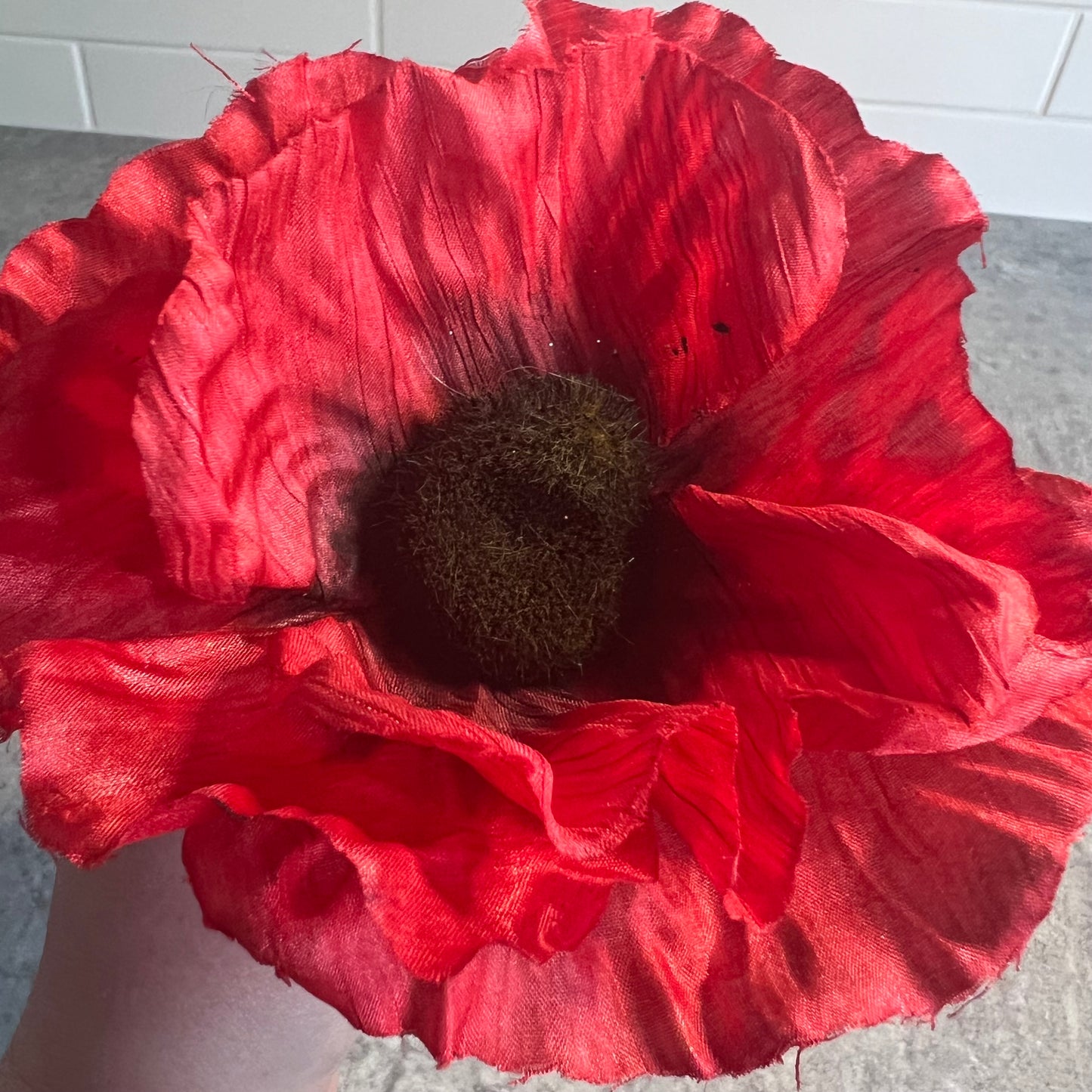 Poppy