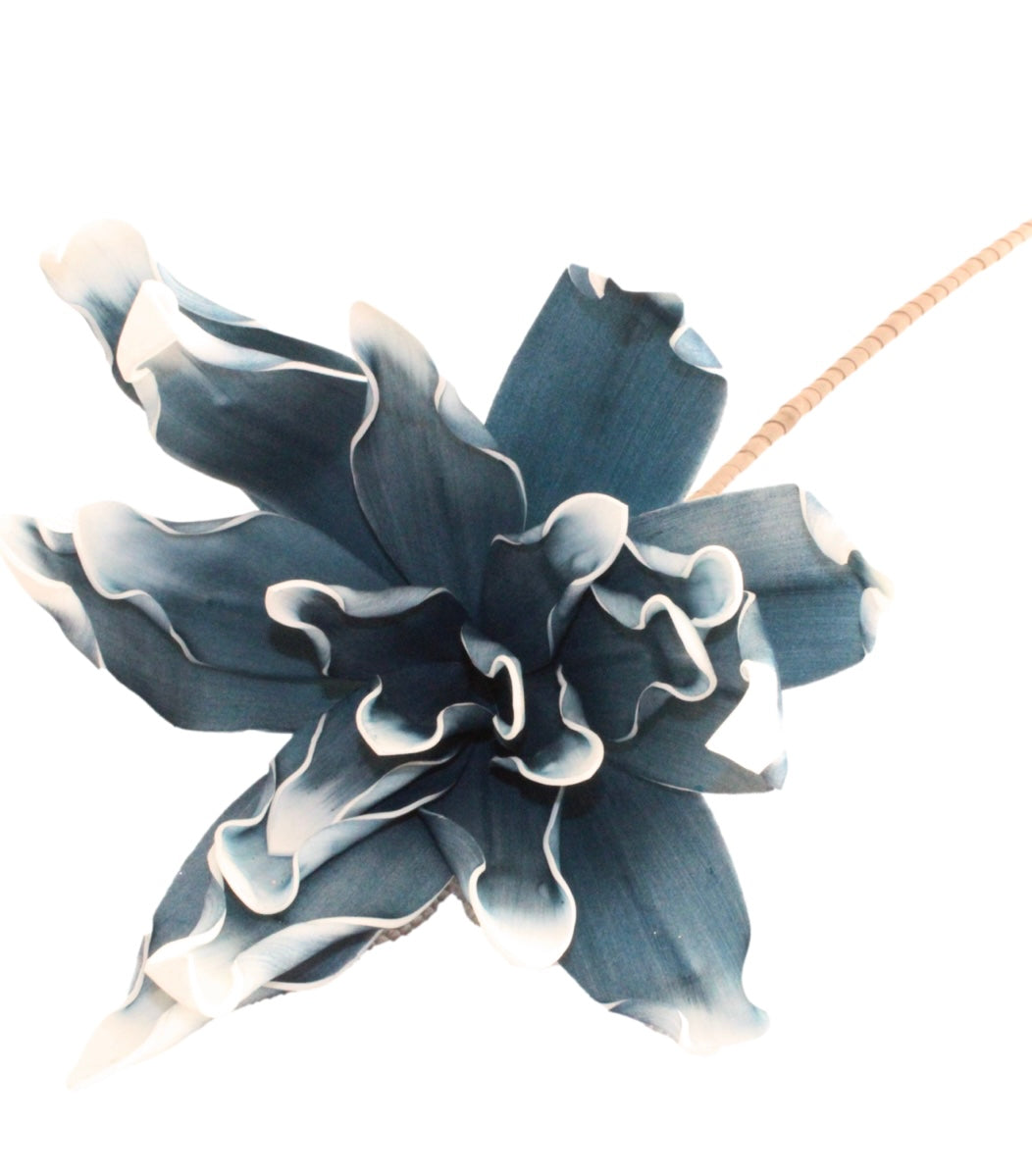 Blue & White Flower