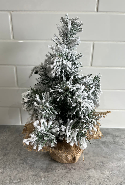 Snowy Tree