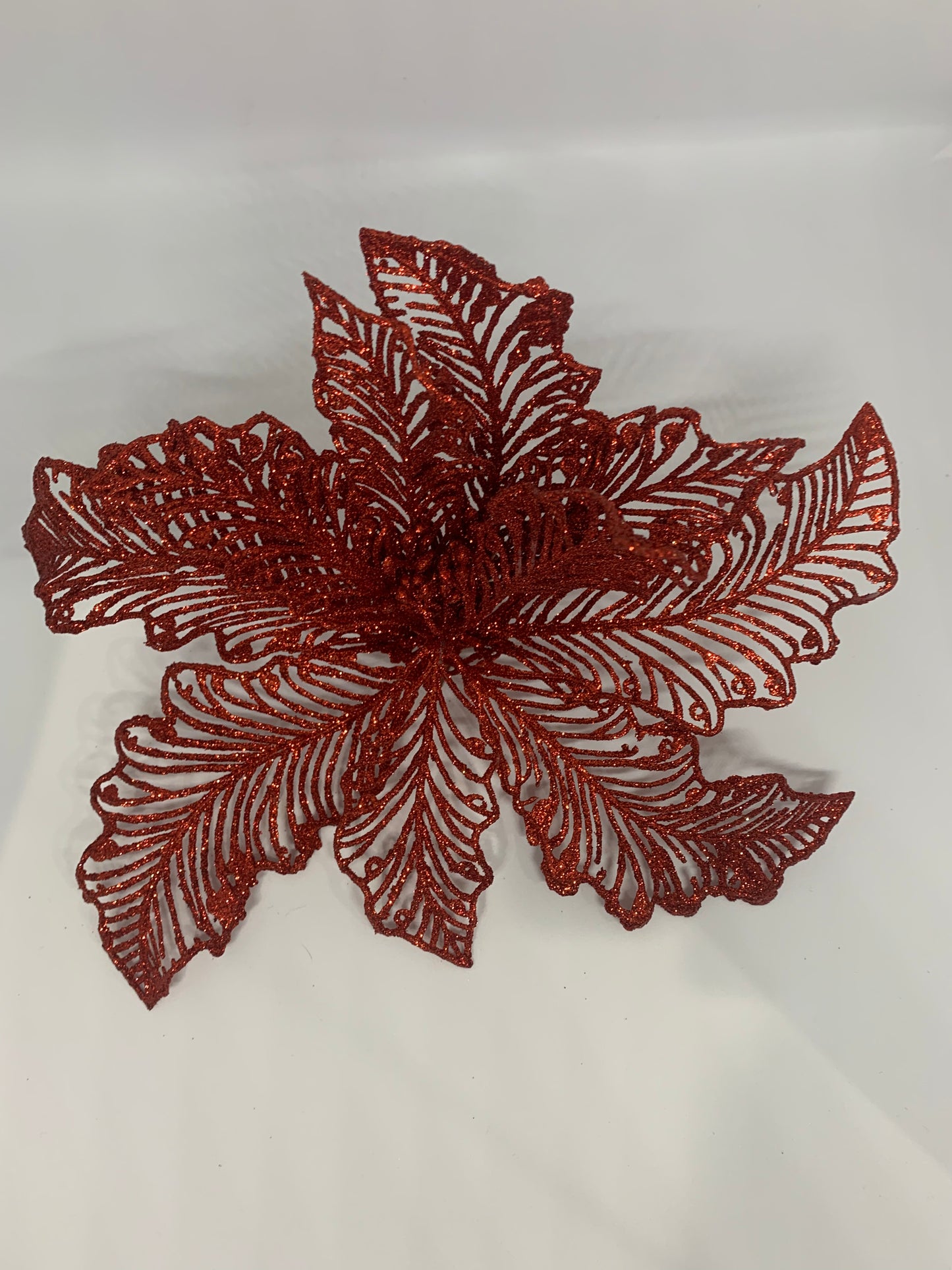 Red Poinsettia