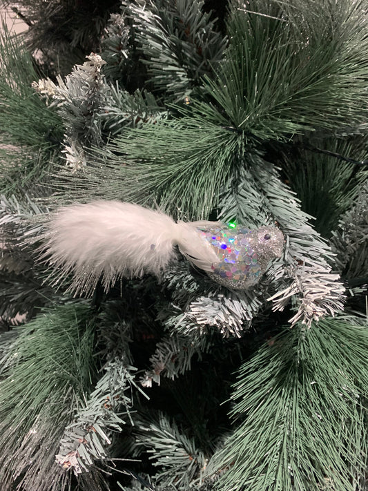Silver Bird