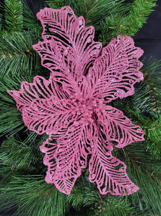 Pink Poinsettia