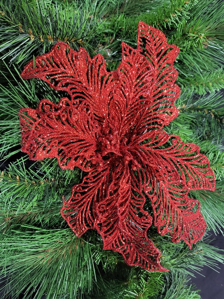 Red Poinsettia
