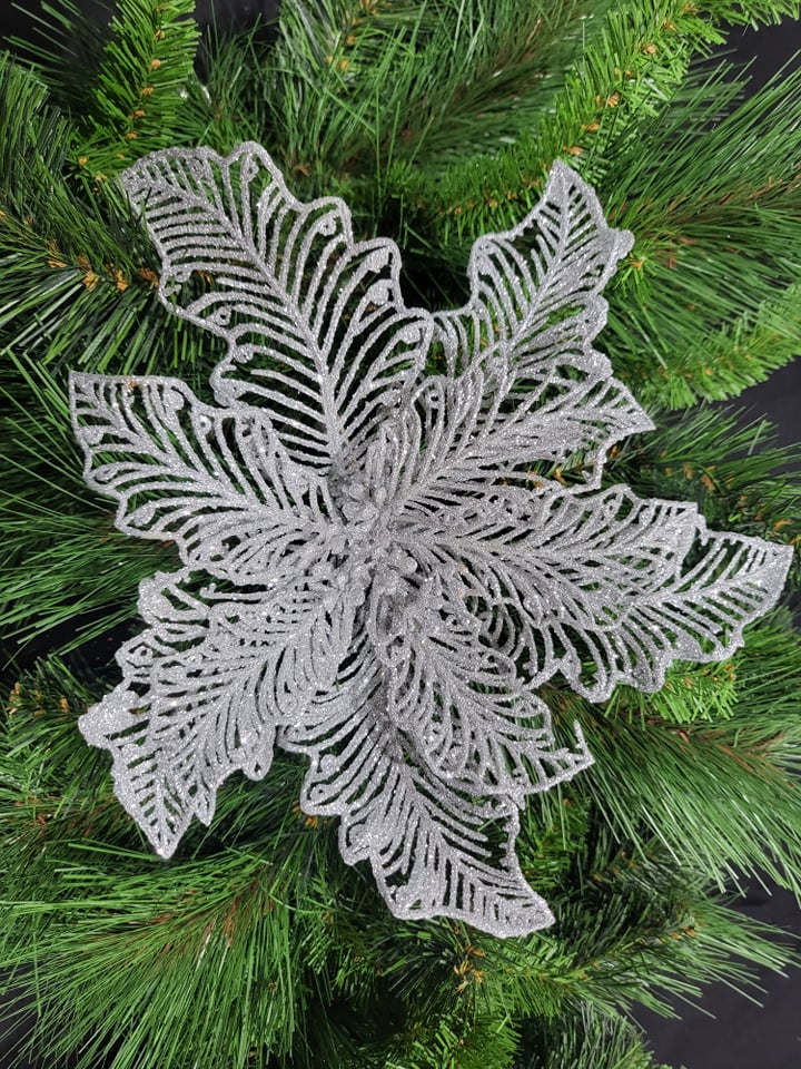 Silver Poinsettia